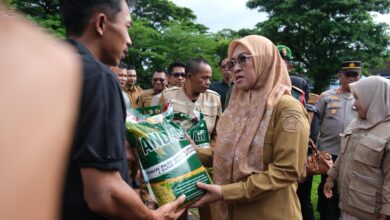 Pemkab Gowa Komitmen Perkuat Ketahanan Pangan dan Produktivitas Pertanian