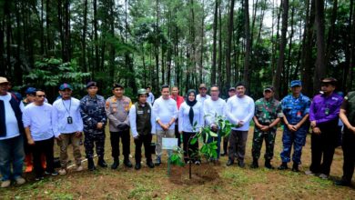 Wagub Fatmawati Ajak Perkuat Kolaborasi Hijaukan Sulsel Saat Pimpin Penanaman Pohon Serentak di Gowa