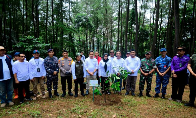 Wagub Fatmawati Ajak Perkuat Kolaborasi Hijaukan Sulsel Saat Pimpin Penanaman Pohon Serentak di Gowa