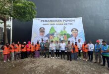 Pemkab Gowa dan Kemendes PDT Tanam Pohon Sukun, Wujudkan Komitmen Lingkungan Hijau Jelang HJG ke-705
