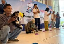 Cleo Fest X Makassar Cat Lovers Club Pertemukan Ratusan Pecinta Kucing