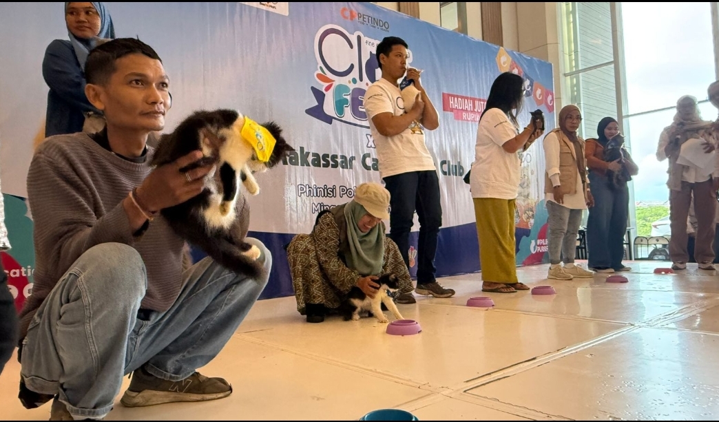 Cleo Fest X Makassar Cat Lovers Club Pertemukan Ratusan Pecinta Kucing