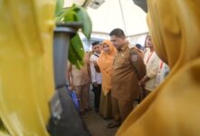 Urban Farming Jadi Strategi Kota Makassar Wujudkan Kota Hijau dan Mandiri Pangan