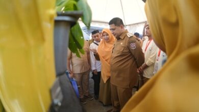 Urban Farming Jadi Strategi Kota Makassar Wujudkan Kota Hijau dan Mandiri Pangan