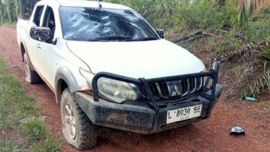 15 WNA China Mengamuk di Area Tambang Ketapang, Diduga Serang Personel TNI