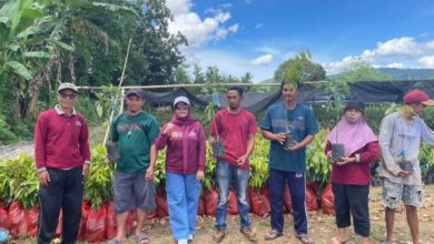 DLHK Sulsel Serahkan Bantuan Bibit MPTS di 22 Wilayah Kerja KPH