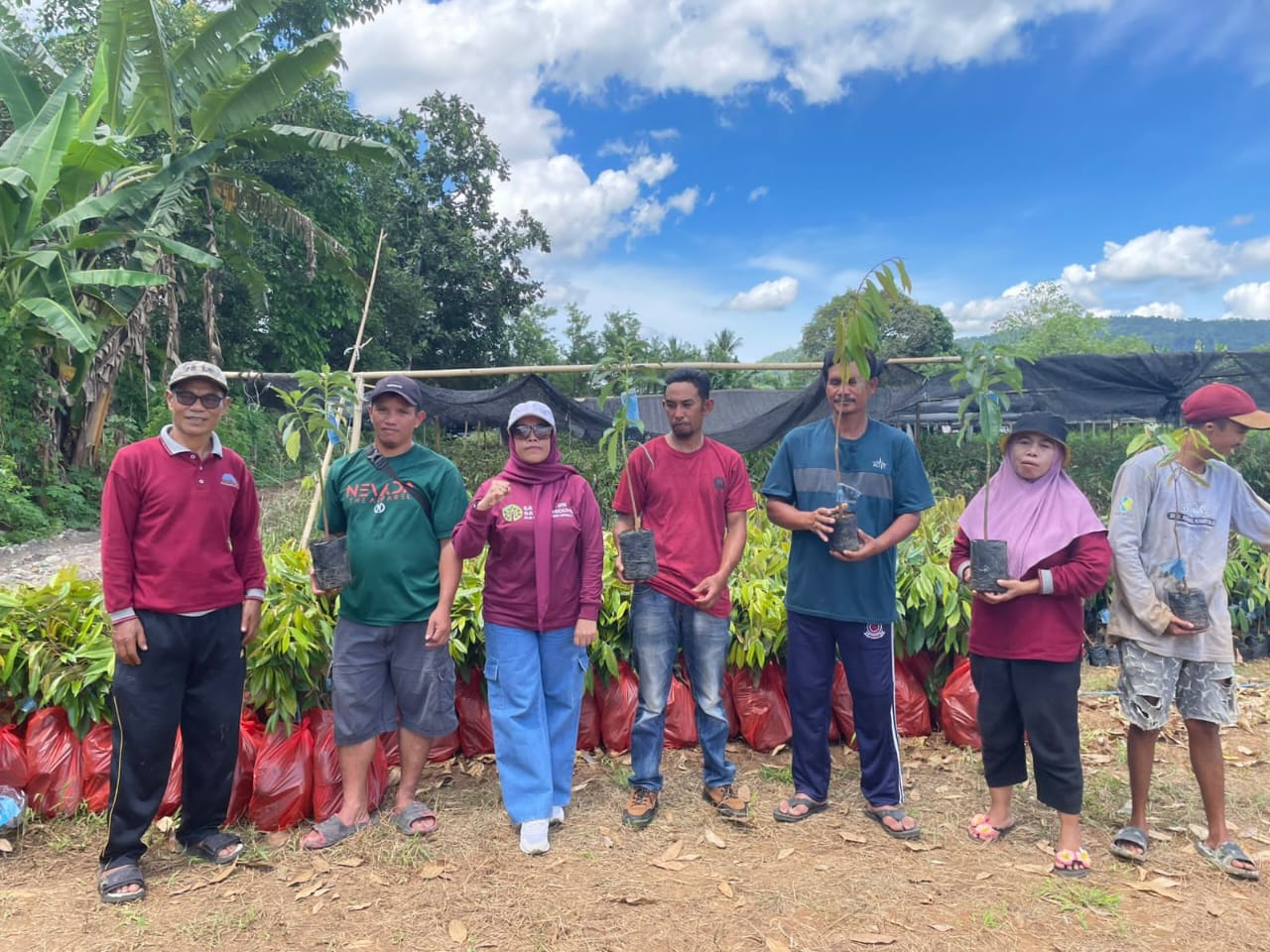 DLHK Sulsel Serahkan Bantuan Bibit MPTS di 22 Wilayah Kerja KPH