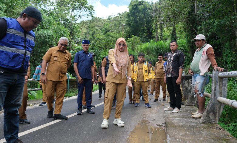 Bupati Gowa Pastikan Peningkatan Pembangunan Infrastruktur Jalan di Biringbulu