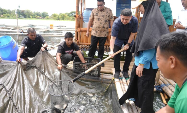Panen Perdana di Maccini Sombala, Wali Kota Makassar Harap Budidaya Ikan Berkelanjutan di Makassar