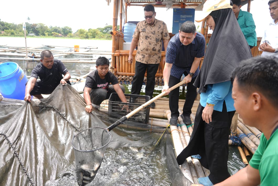 Panen Perdana di Maccini Sombala, Wali Kota Makassar Harap Budidaya Ikan Berkelanjutan di Makassar
