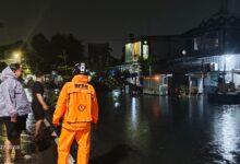 BPBD Makassar Tangani Pohon Tumbang dan Evakuasi Warga di Sejumlah Lokasi Rawan Terdampak Cuaca Ekstrem