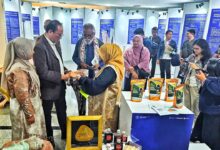 Menteri Pendidikan Tinggi Apresiasi Wastra Sulsel Ramah Lingkungan di Repertoar Saintek 2025