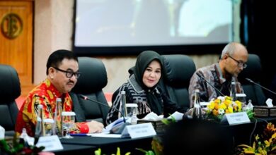 Wagub Fatmawati Tekankan Komitmen Tanam Cabai dan Percepatan ETPD dalam HLM TPID-TP2DD Sulsel
