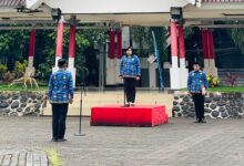 Pimpin Upacara HKN, Staf Ahli Gubernur Sulsel Since Erna Lamba: Bukan Sekadar Rutinitas Seremonial