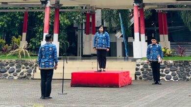 Pimpin Upacara HKN, Staf Ahli Gubernur Sulsel Since Erna Lamba: Bukan Sekadar Rutinitas Seremonial