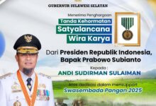 Sukses Tingkatkan Pertanian, Gubernur Sulsel Terima Satyalancana Wira Karya dari Presiden Prabowo
