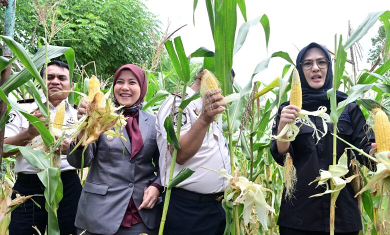 Aliyah Mustika Ilham Hadiri Panen Raya di Lapas Kelas I Makassar, Dukung Pembinaan Kemandirian Warga Binaan