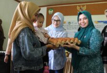 Kolaborasi PKK Gowa dan Bank Sulselbar Perkuat Pencegahan Stunting