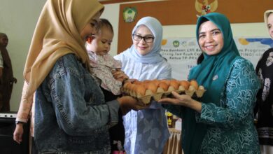 Kolaborasi PKK Gowa dan Bank Sulselbar Perkuat Pencegahan Stunting