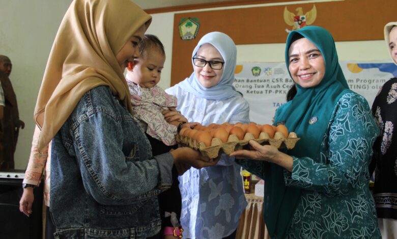 Kolaborasi PKK Gowa dan Bank Sulselbar Perkuat Pencegahan Stunting