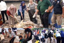 Pemkot Palu Gelar Pra Event Hari Peduli Sampah Nasional: “Save Our Mangrove From Trash”