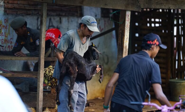 Berdiri 48 Tahun, Lapak PKL Jualan di Jalan Lamuru Akhirnya Dibongkar