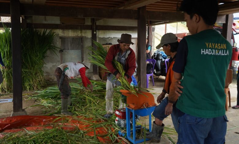 Petani Desa Binaan LAZ Hadji Kalla Raup Rp4 Juta per Bulan, Panen Naik Hingga 60 Persen