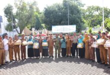 Tekan Stunting, Bupati Bone Salurkan Bantuan Pertanian Berbasis Pangan Lokal