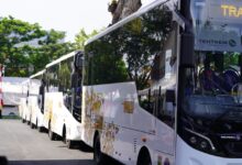 Pemkot Palu Kembali Operasikan Bus Transpalu Mulai Selasa Besok