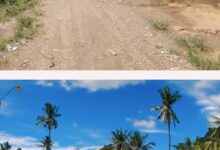 Gubernur Sulsel: Jalan Balielo Wajo Rampung Lewat Bantuan Keuangan Pemprov 2025