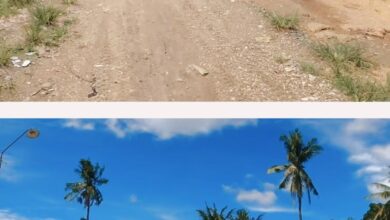 Gubernur Sulsel: Jalan Balielo Wajo Rampung Lewat Bantuan Keuangan Pemprov 2025