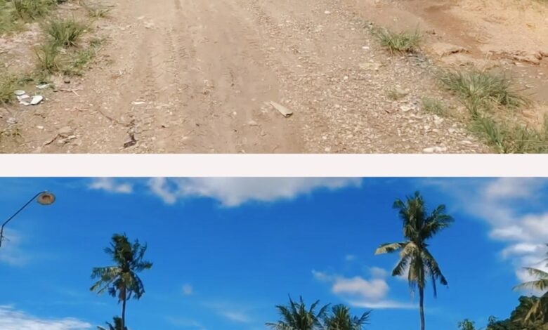 Gubernur Sulsel: Jalan Balielo Wajo Rampung Lewat Bantuan Keuangan Pemprov 2025