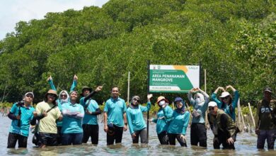 CSR KALLA Aksi Mangrove Lestari Tekolabbua Resmi Ditetapkan sebagai Kawasan Konservasi Pesisir Pangkep