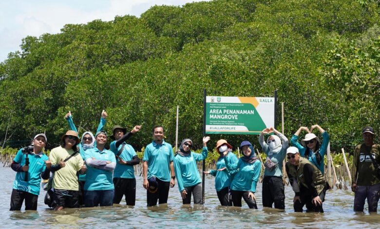 CSR KALLA Aksi Mangrove Lestari Tekolabbua Resmi Ditetapkan sebagai Kawasan Konservasi Pesisir Pangkep