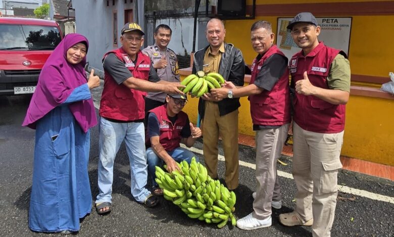 Wujudkan Ketahanan Pangan, Kelurahan Bitowa Panen Pisang Cavendish di Lahan Urban Farming