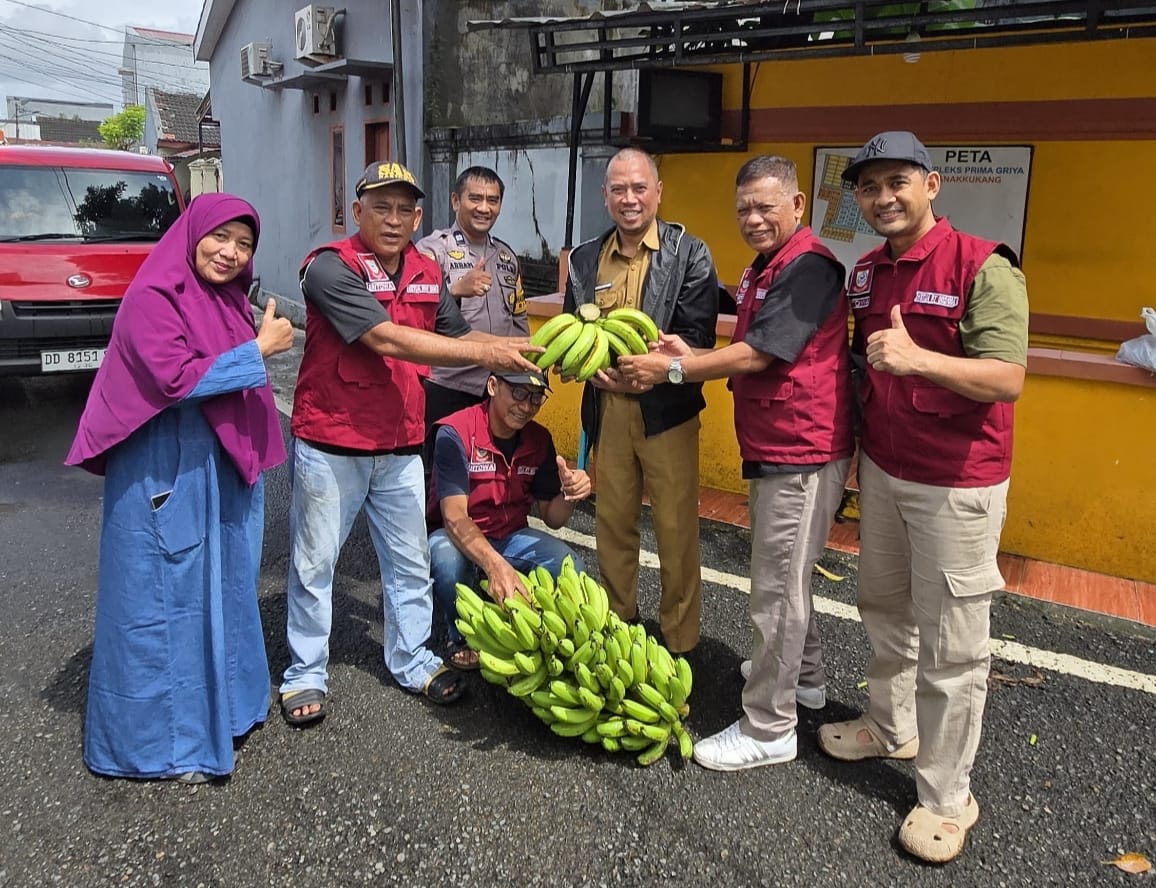 Wujudkan Ketahanan Pangan, Kelurahan Bitowa Panen Pisang Cavendish di Lahan Urban Farming