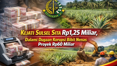Kejati Sulsel Sita Rp1,25 Miliar, Dalami Dugaan Korupsi Bibit Nenas Proyek Rp60 Miliar