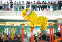 MaRI dan NIPAH PARK Hadirkan Atraksi Barongsai Sambut Imlek 2026, Gratis dan Terbuka untuk Umum