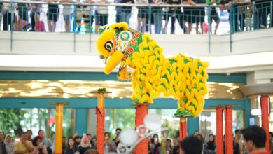 MaRI dan NIPAH PARK Hadirkan Atraksi Barongsai Sambut Imlek 2026, Gratis dan Terbuka untuk Umum