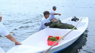 TJSL PLN Peduli Jangkau Lebih dari 700 Ribu Penerima Manfaat di Seluruh Indonesia