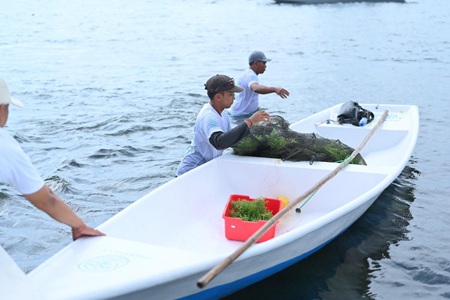 TJSL PLN Peduli Jangkau Lebih dari 700 Ribu Penerima Manfaat di Seluruh Indonesia