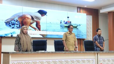 Perkebunan Kakao Luwu Timur: Lima Tahun Anak Terlindungi, Perempuan Berdaya