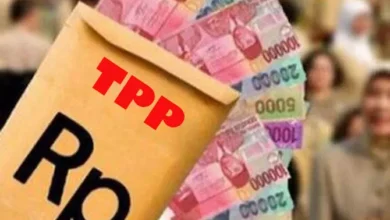TPP ASN Sulsel Disesuaikan, Pemprov Tegaskan Gaji Pokok dan Hak Wajib Tetap Aman