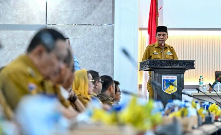 Gubernur Anwar Hafid Tegaskan Kesatuan Gerak Demi Tertib Tata Kelola Tambang