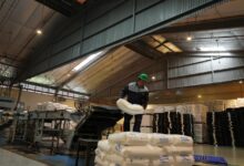 Hilirisasi Petrokimia Diperkuat, Polytama Andalkan Bahan Baku Kilang Pertamina