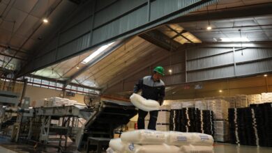 Hilirisasi Petrokimia Diperkuat, Polytama Andalkan Bahan Baku Kilang Pertamina