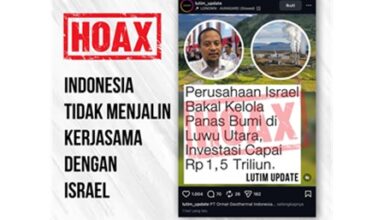 Beredar Kabar Perusahaan Israel Investasi Panas Bumi di Lutra, Gubernur Sulsel: Tidak ada Izin Provinsi