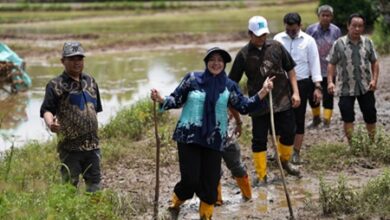 Respons Aspirasi Warga, Wali Kota Makassar Gelontorkan Rp4 Miliar untuk Perbaikan Jalan Berlumpur di Romang Tangayya