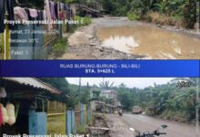 Hasil Preservasi Jalan Hertasning dan Burung-burung Siginifkan, Gubernur Sulsel Minta Dukungan dan Permohonan Maaf atas Hambatan Lalu Lintas