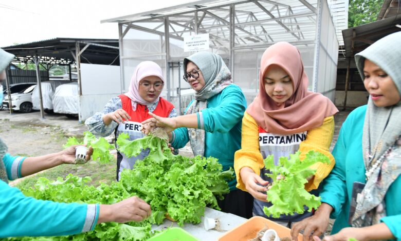 CSR Pertamina, Program Hidroponik Dukung Inisiatif Green Terminal Tanjung Sekong